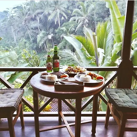 Ddjungle Villa